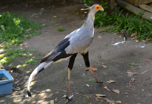 World of Birds Wildlife Sanctuary.